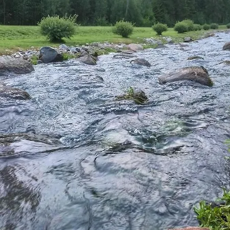 Campsite Orupohja Kaempingud Ja Telkimisala Polva