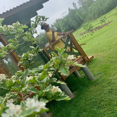 Camping Orupohja Kaempingud Ja Telkimisala *