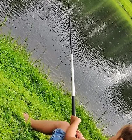 Orupohja Kaempingud Ja Telkimisala Campsite *