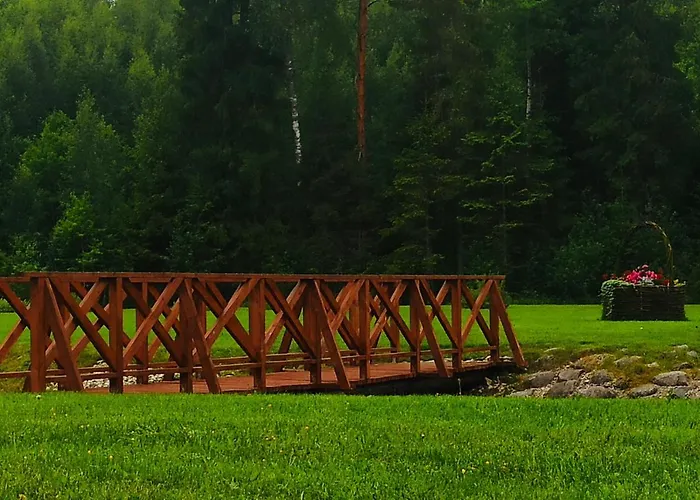 Orupohja Kaempingud Ja Telkimisala *