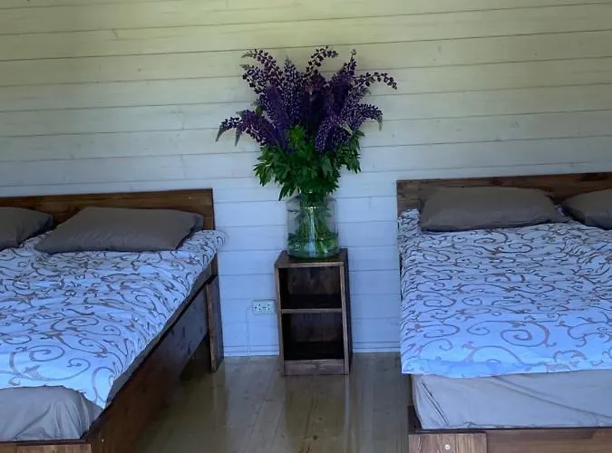 캠프장 Orupohja Kaempingud Ja Telkimisala *