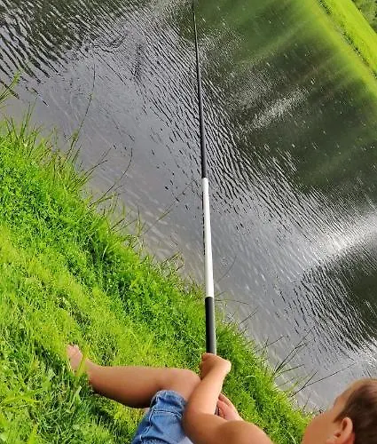 Orupohja Kaempingud Ja Telkimisala Campingplads *